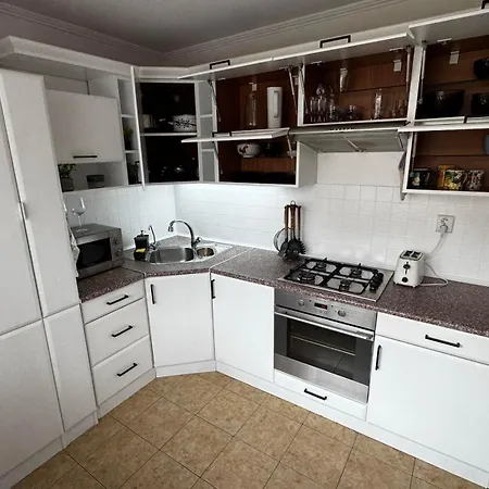 アパート Palarikova Old App *