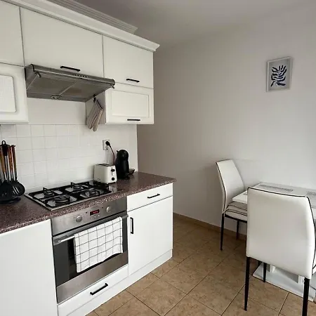 Apartment Palarikova Old App