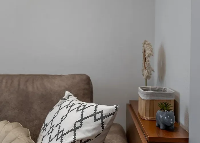 Daire Palarikova Old App *