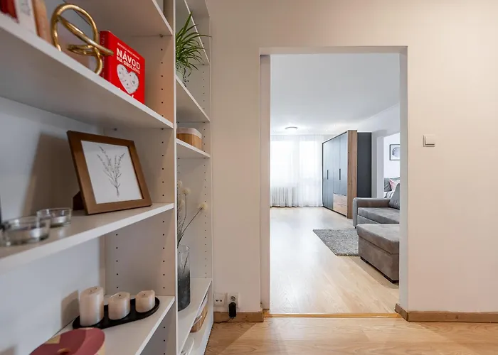 Palarikova Old App Daire *