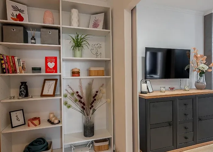 Daire Palarikova Old App