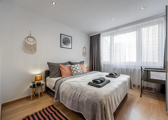 Daire Palarikova Old App *