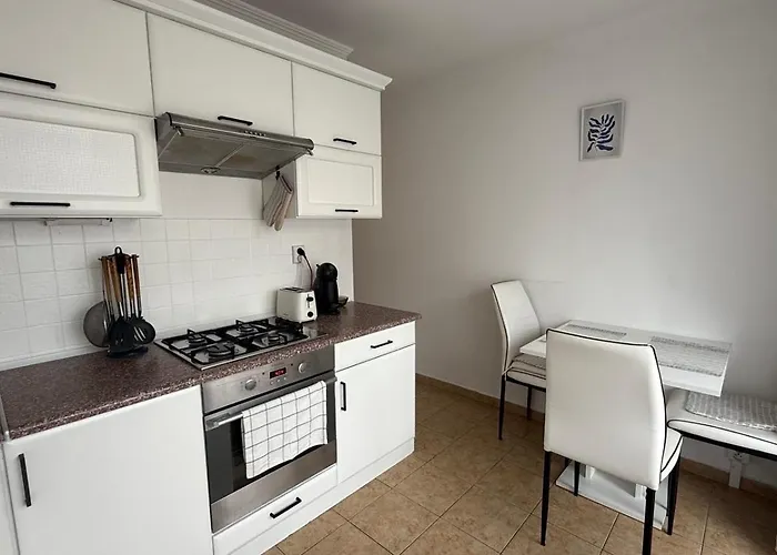 Daire Palarikova Old App